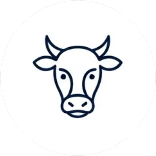 Vită Black Angus